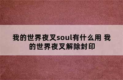 我的世界夜叉soul有什么用 我的世界夜叉解除封印